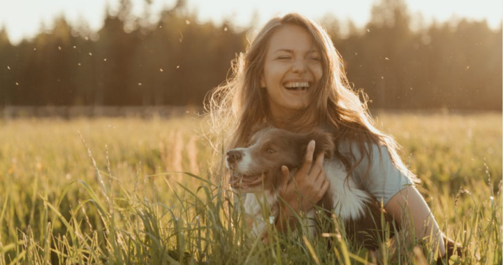 Le printemps et les chiens : 5 conseils